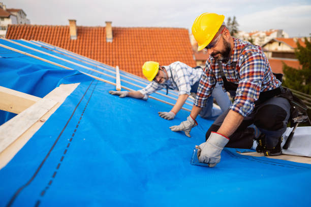 Best Rubber Roofing (EPDM, TPO)  in Nashwauk, MN