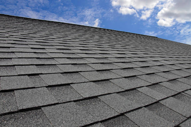 Best Roof Insulation Installation  in Nashwauk, MN